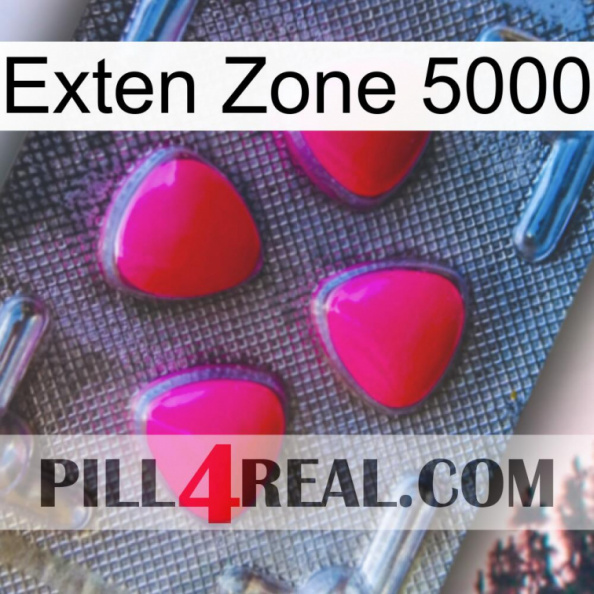 Exten Zone 5000 13.jpg